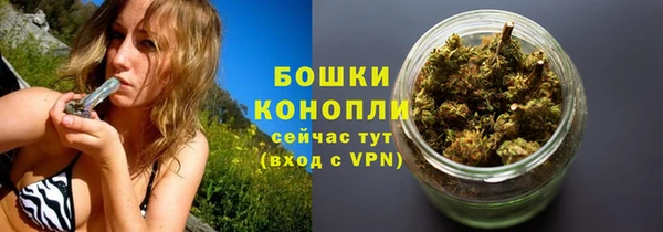 ешки Мегион
