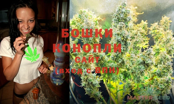 ешки Мегион