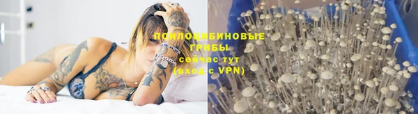 кокс Медвежьегорск