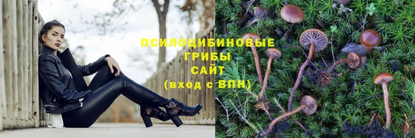кокс Медвежьегорск