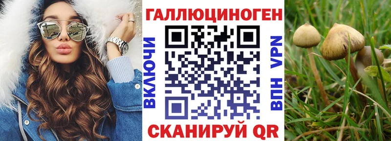 гидра как войти  хочу   Скопин  Галлюциногенные грибы мицелий 